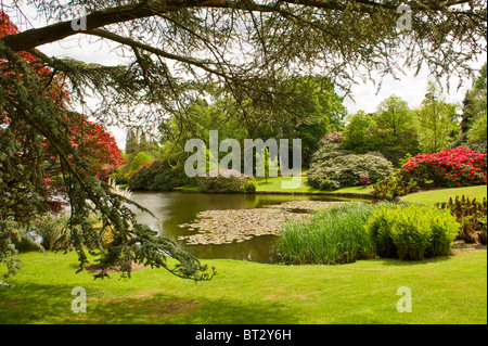 Sheffield Park Gardens in East Sussex Stock Photo