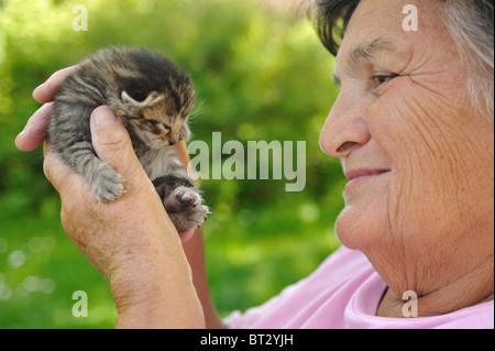 Senior woman holding kitten – outdoor Stock Photo