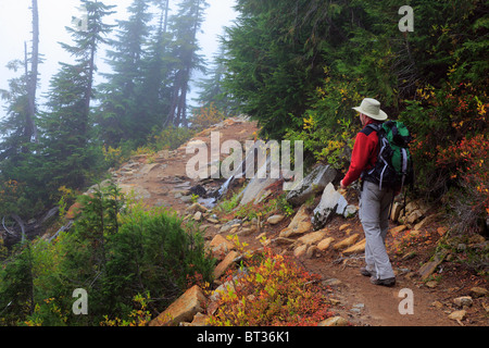 Hiker at Cascade Pass over the northern Cascade Range, in North Cascades National Park in Washington state, USA