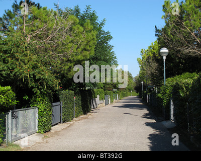 Street with trees in Bibione Pineda, Veneto, Italy Stock Photo