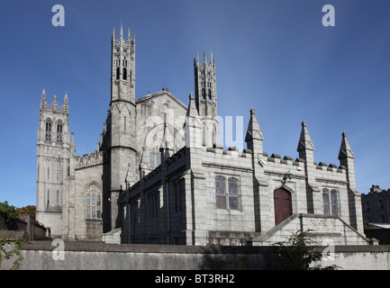 St Patrick's Cathedral, 1847 gothic style cathedral, Dundalk, Co. Louth, Ulster, Ireland Stock Photo