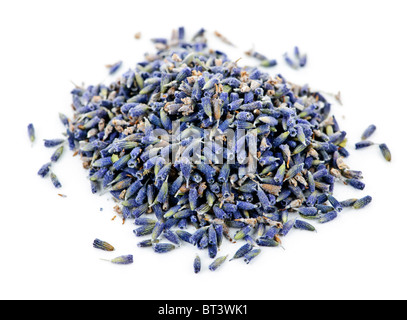 Pile of medicinal lavender herb flowers on white background Stock Photo