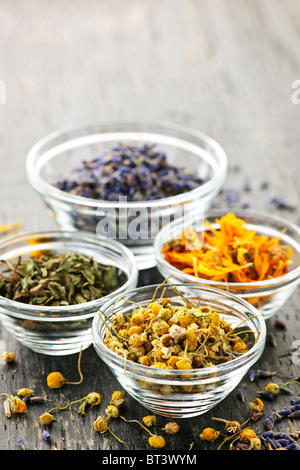Assortment of dry medicinal herbs in glass bowls Stock Photo