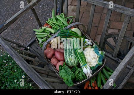 A detail view of produce from an edible garden with a selection of vegetables Stock Photo