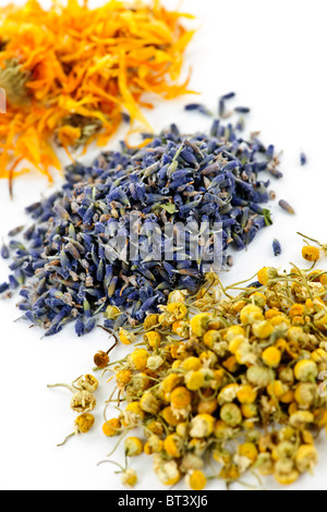 Piles of dried medicinal herbs camomile, lavender, calendula on white background Stock Photo