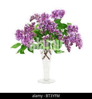 lilac bouquet in vase isolated Stock Photo