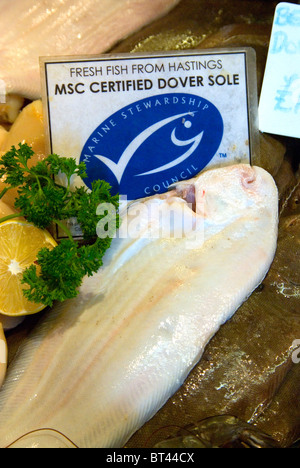 Fresh Hastings fish Marine Stewardship Council MSC certified sustainable Dover sole on sale at Rock-a-Nore Fisheries Hastings Stock Photo