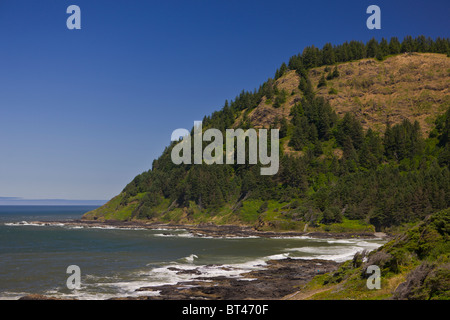 CAPE PERPETUA SCENIC AREA, OREGON, USA - Central Oregon coast. Stock Photo