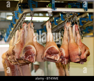legs of raw pork hanging in a refrigerated room Stock Photo