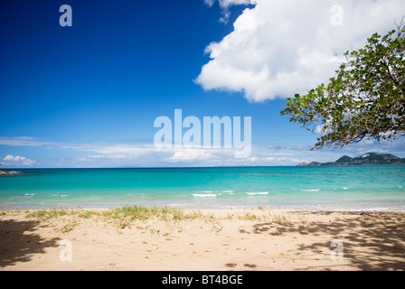 beautiful Vigie beach with turquoise waters and blue sky Stock Photo