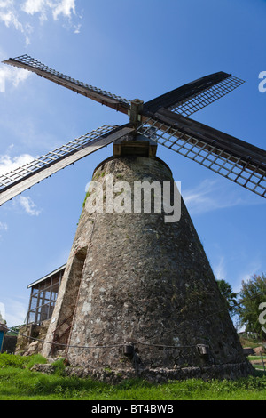 Disused sugar wind mill, in St Andrews Hillside, Scotland District, Barbados, West Indies. One of the last remaining on Barbados Stock Photo