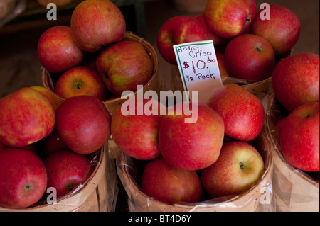 https://l450v.alamy.com/450v/bt4d6y/honey-crisp-apples-in-12-peck-baskets-at-an-ontario-farm-store-bt4d6y.jpg