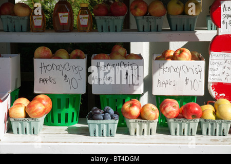 Honeycrisp Apples & other fruit for sale at Roadside Farm stand Michigan USA, by James D Coppinger/Dembinsky Photo Assoc Stock Photo