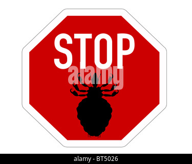 Stop sign for lice Stock Photo