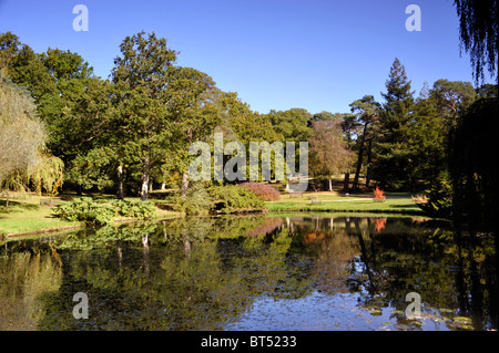 autumnal foliage on display in exbury gardens new forest england uk Stock Photo