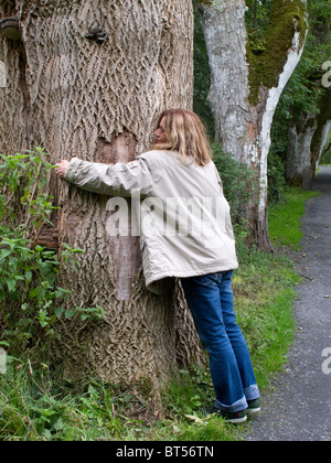 Woman hugging large gnarled tree, Ireland Stock Photo