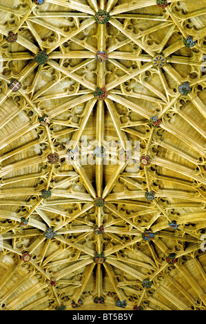 Sherborne Abbey, Dorset. Fan vaulting, choir, detail of English medieval roof vault boss bosses England UK abbeys interior Stock Photo