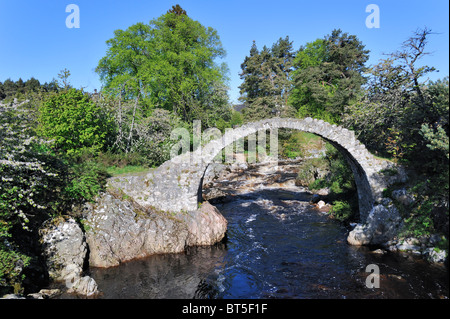 Pack Horse Funeral bridge over the river Dulnain, the oldest stone bridge in the Highlands at Carrbridge, Scotland, UK Stock Photo