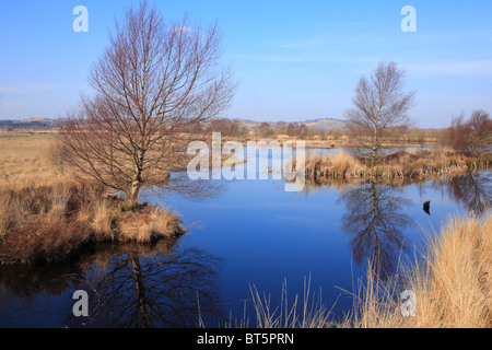 Habitat. Cors Caron raised bog in Winter. Ceredigion, Wales. Stock Photo