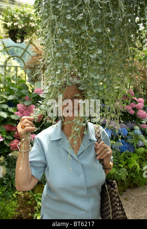 Elderly lady hiding behind a weeping tree in the Fitzroy Garden’s lovely Conservatory Stock Photo