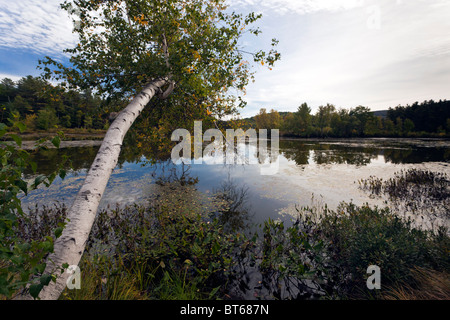 lake in western Maine in the early autumn, near Bethel Stock Photo