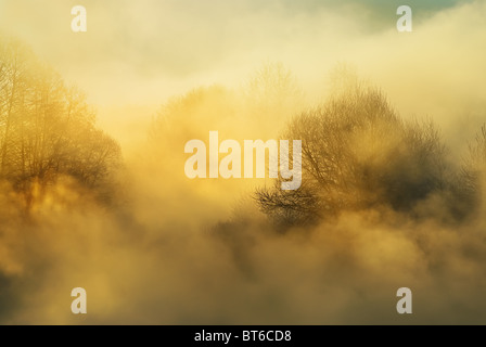 Frosty winter morning Stock Photo