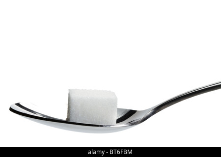 one lump sugar on a spoon isolated on white background Stock Photo