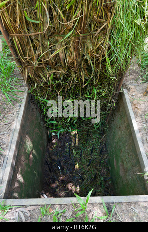 Mock up of a Typical Swing Door Pit Trap with Punji Sticks in the Cu Chi Tunnel Complex and Museum, Vietnam Stock Photo