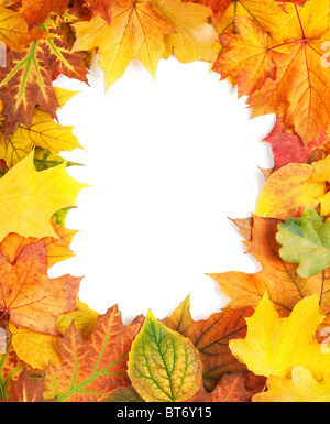 autumn leaves frame isolated on white background Stock Photo - Alamy