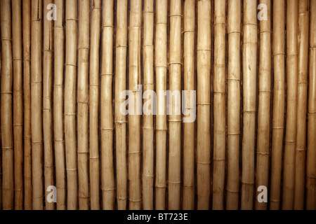 Bamboo cane row arrangement background pattern Stock Photo