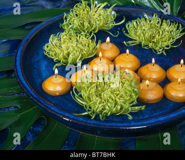 Still-Life of lime-green chrysanthemums and yellow floating candles in blue bowl of water Stock Photo