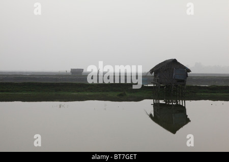Lone shelter operating as a look-out in a paddy field in Bangladesh Stock Photo