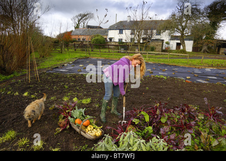 Woman working on her vegetable patch. Stock Photo