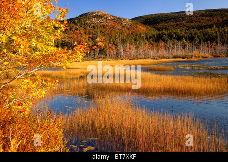 Autumn colors at Upper Hadlock Pond in Acadia National Park, Maine USA Stock Photo
