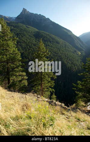 Highway 99, the Duffy Lake Road, as winds its way through the Coastal Stock Photo: 106456678 - Alamy