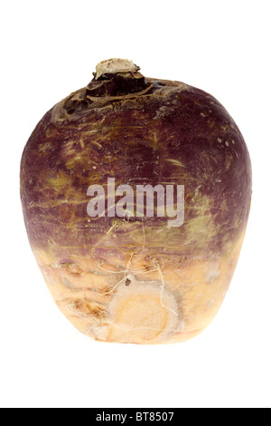 irish turnip on white background Stock Photo