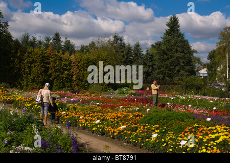 Botanical Garden at VDNKh All-Russian exhibition centre from Soviet times Moscow Russia Europe Stock Photo