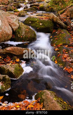 Flowing stream waterfall on the Blanchet Trail in the Fall Gatineau Hills Park Quebec Canada Stock Photo