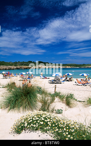 Sand dunes, Arenal de Son Saura, Minorca, Balearic Islands, Spain Stock Photo