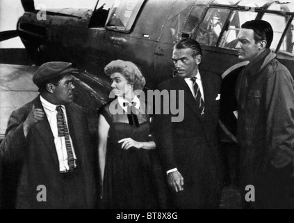 PETER BUTTERWORTH, YOLANDE DONLAN, DOUGLAS FAIRBANKS JR., MISTER DRAKE'S DUCK, 1951 Stock Photo