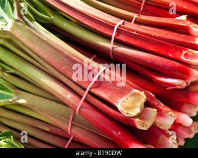 rhubarb at a street sale Stock Photo