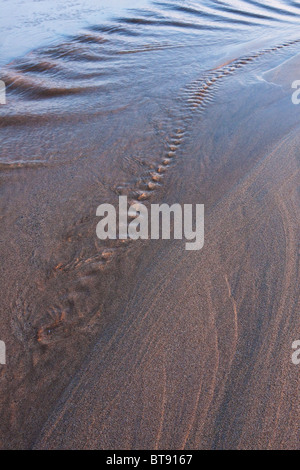 Retreating Tide Stock Photo