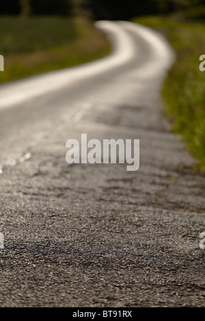 Winding country lane on a summer's evening (shallow depth of field). Stock Photo