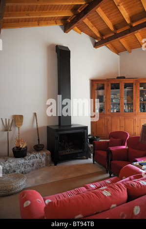 Living room with woodstove fireplace and red sofas Stock Photo