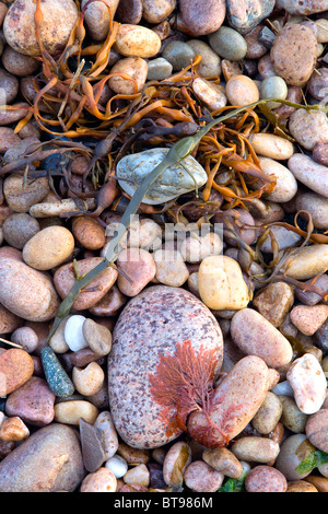 Multi-coloured pebbles on the beach at Claggain Bay, Islay Stock Photo