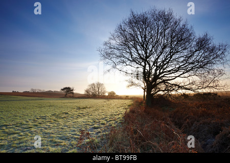 Benacre National Nature Reserve in Suffolk Stock Photo