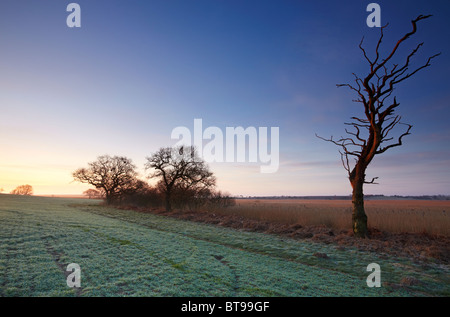 Benacre National Nature Reserve in Suffolk Stock Photo