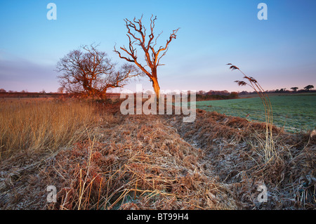 Benacre National Nature Reserve in Suffolk Stock Photo