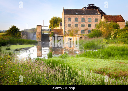 Early morning mist at Thorney Mill on the River Parrett near Kingsbury Episcopi in Somerset Stock Photo