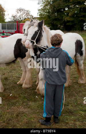 A young gypsy boy is helping out the family business by looking after the horses during the Stow Horse Fair. DAVID MANSELL Stock Photo